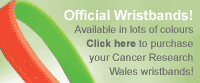 Official Cancer Research Wales wristbands